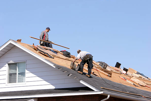 Best Rubber Roofing (EPDM, TPO)  in Cartervle, IL